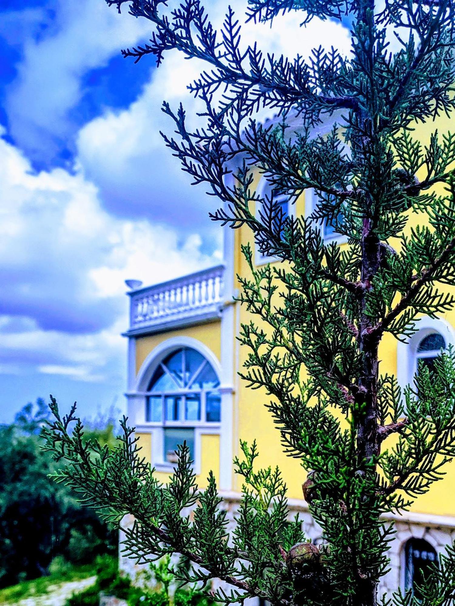 Vila Kalielaia Mouzákion Exterior foto